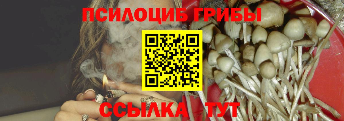 цена наркотик  Галлюциногенные грибы Psilocybine cubensis  Вход с VPN  Усолье-Сибирское  Псилоцибиновые грибы Psilocybine cubensis 